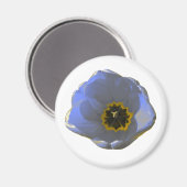 Blauwe en gele Tulp Magnet (Voorkant / Achterkant)