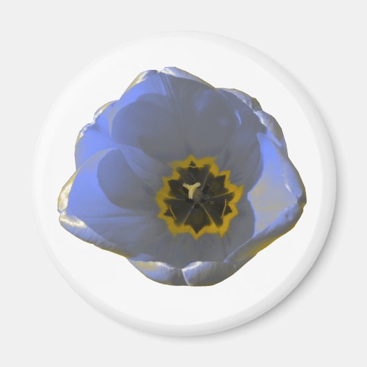 Blauwe en gele Tulp Magnet (Voorkant)