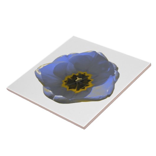 Blauwe en gele Tulp Tegeltje (Zijkant)