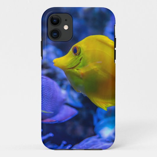 Blauwe en gele twee mooie vissen Case-Mate iPhone case (Achterkant)