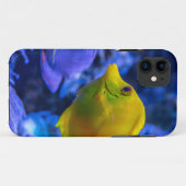 Blauwe en gele twee mooie vissen Case-Mate iPhone case (Achterkant (horizontaal))
