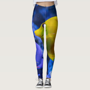 Blauwe en gele twee mooie vissen leggings