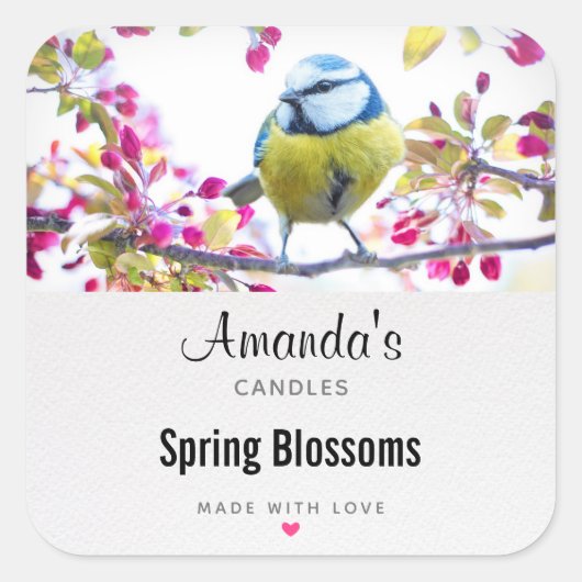  blauwe en gele vogel op een Branch-kaars Vierkante Sticker (Voorkant)