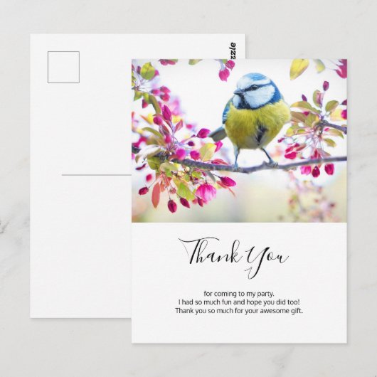 blauwe en gele vogel op een filiaal Dank u Briefkaart (Voorkant / Achterkant)