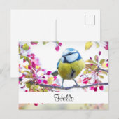  blauwe en gele vogel op een filiaal Hallo Briefkaart (Voorkant / Achterkant)