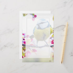 blauwe en gele vogel op een foto van de Tak