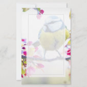  blauwe en gele vogel op een foto van de Tak (Voorkant)