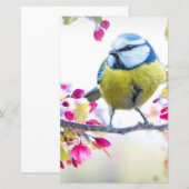  blauwe en gele vogel op een foto van de Tak (Voorkant / Achterkant)