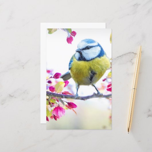  blauwe en gele vogel op een foto van de Tak (Voorkant / Achterkant in situ)