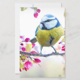  blauwe en gele vogel op een foto van de Tak