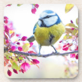  blauwe en gele vogel op een foto van de Tak Bier Onderzetter (Voorkant)