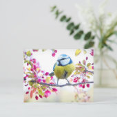  blauwe en gele vogel op een foto van de Tak Briefkaart (Staand voorkant)