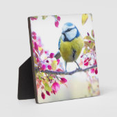 blauwe en gele vogel op een foto van de Tak Fotoplaat (Voorkant)