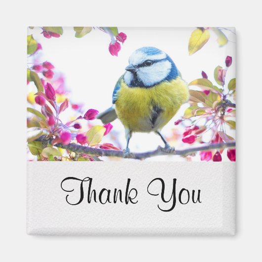  blauwe en gele vogel op een foto van de Tak Magneet (Voorkant)