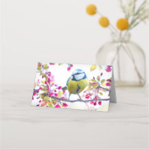  blauwe en gele vogel op een foto van de Tak