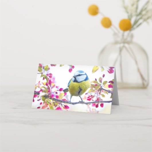  blauwe en gele vogel op een foto van de Tak Plaatskaartje (Voorkant)