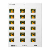 Blauwe en gouden ara etiket (Full Sheet)