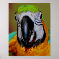 Blauwe en gouden ara papegaai gezicht Abstracte ku