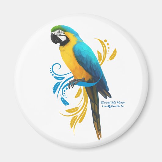 Blauwe en gouden Macaw Magnet (Voorkant)