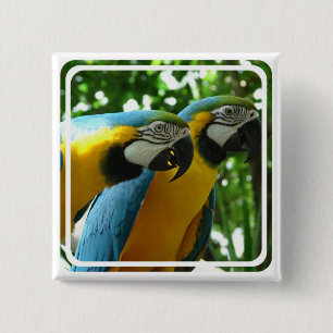 Blauwe en gouden Macaw Pin Vierkante Button 5,1 Cm