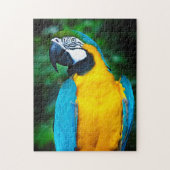 Blauwe en gouden Macaw Puzzel (Verticaal)