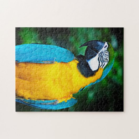 Blauwe en gouden Macaw Puzzel Legpuzzel (Horizontaal)