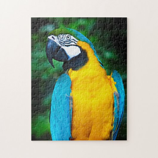 Blauwe en gouden Macaw Puzzel Legpuzzel (Verticaal)