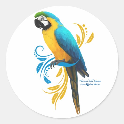 Blauwe en Gouden Macaw Ronde Sticker (Voorkant)