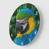Blauwe en gouden papegaaien grote klok (Hoek)