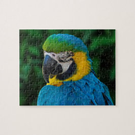 Blauwe en gouden papegaaien legpuzzel