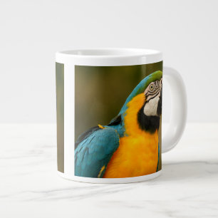 blauwe en goudmakreel grote koffiekop