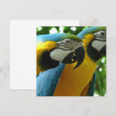 Blauwe en goudmakreeluitvindingen kaart (Voorkant / Achterkant)