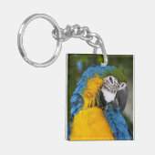 Blauwe en goudpapegaai sleutelhanger (Voorkant Links)