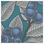 Blauwe en grijze bosbessen stof (Close Up)