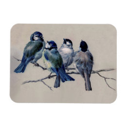 Blauwe en grijze vogels op een vintage van de wate magneet