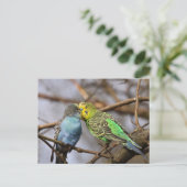 Blauwe en Groene Budgie Vogels op een Boomtak Briefkaart (Staand voorkant)