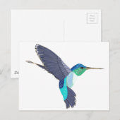 Blauwe en groene kolibrie briefkaart (Voorkant / Achterkant)