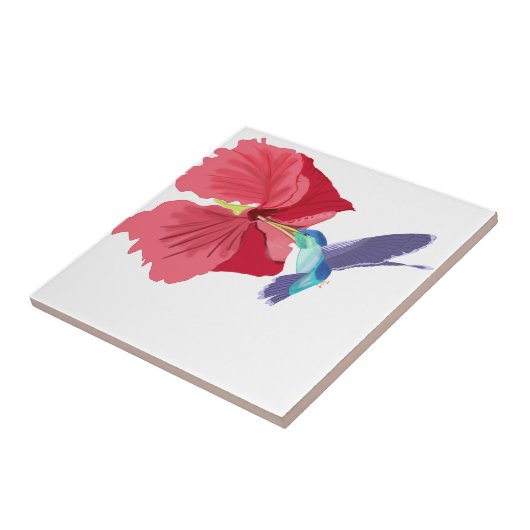 Blauwe en groene kolibrie tegeltje (Zijkant)