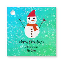 Blauwe en Groene Sneeuwman met sneeuw Kerstmis