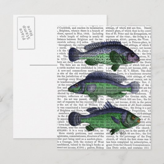 Blauwe en groene vistrio briefkaart (Voorkant / Achterkant)