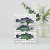 Blauwe en groene vistrio briefkaart (Staand voorkant)