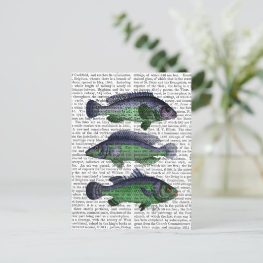 Blauwe en groene vistrio briefkaart (Staand voorkant)
