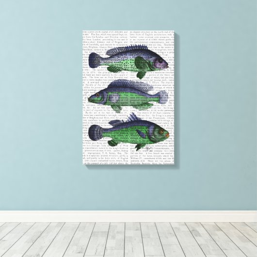 Blauwe en groene vistrio canvas afdruk (Insitu (Houten vloer))