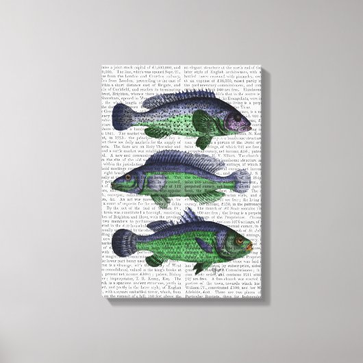 Blauwe en groene vistrio canvas afdruk (Voorkant)