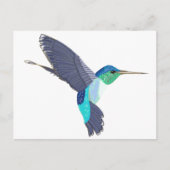 Blauwe en groene vogel briefkaart (Voorkant)