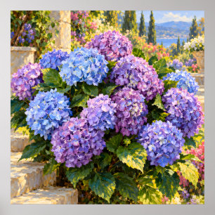 Blauwe en lila hortensia's in een zonnige kusttuin poster