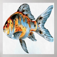 Blauwe en Oranje goudvis