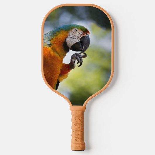 Blauwe en Oranje Macaw Pickleball Paddle (Voorkant)