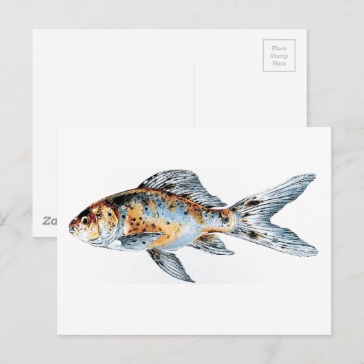 Blauwe en Oranje Shubunkin Goldfish Fine Art Briefkaart (Voorkant / Achterkant)