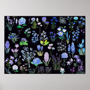 Blauwe en paarse bloemen zwarte achtergrond poster